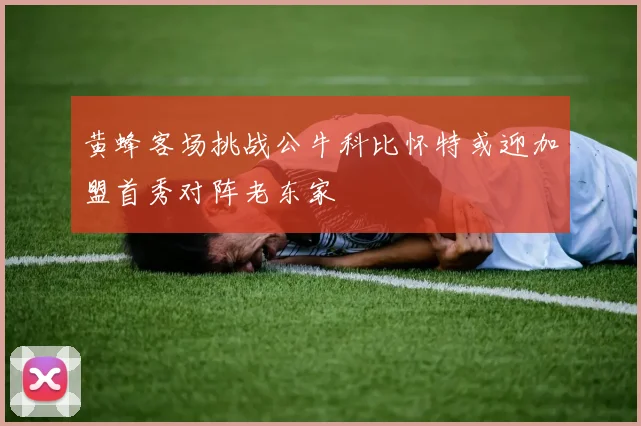 黄蜂客场挑战公牛科比怀特或迎加盟首秀对阵老东家