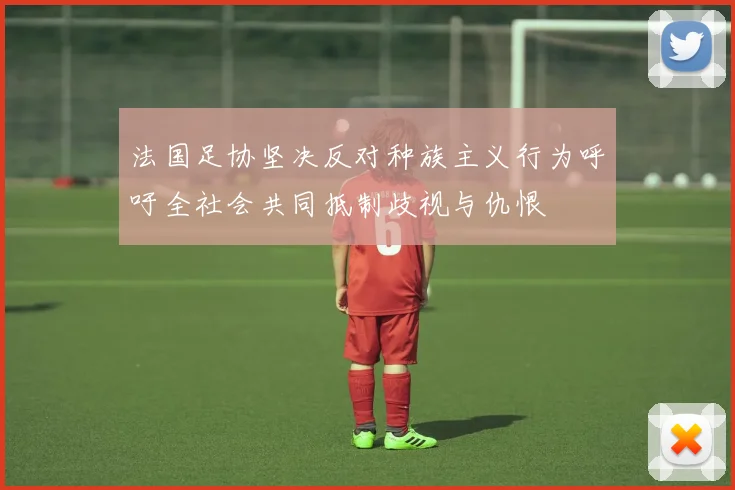 法国足协坚决反对种族主义行为呼吁全社会共同抵制歧视与仇恨