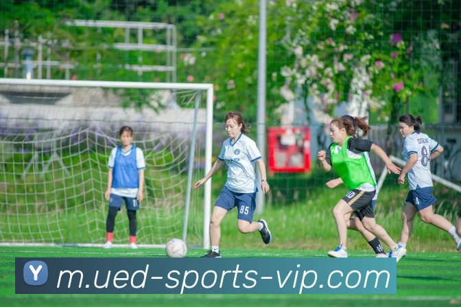 多媒体互动体验