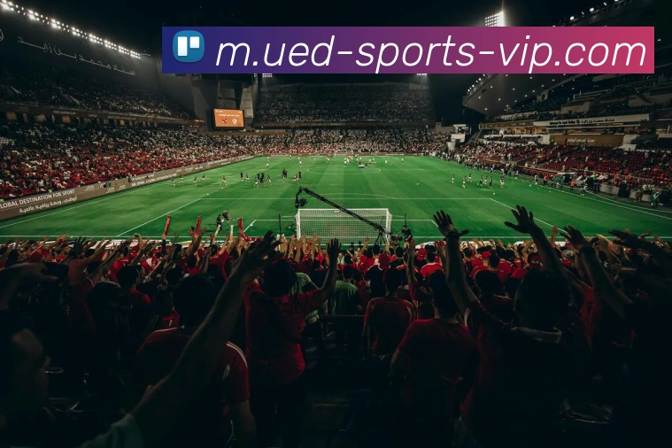 ued体育APP 高清赛事图